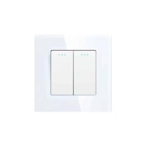 2gang mechanical switch white